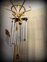 Přednáškový strom zvonkoher