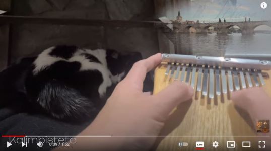 kalimbisteto s alikvótní kalimbou