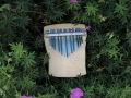 Kalimba javor