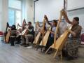 koncert-harfy-domov-vyskov_denik