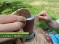 Cesta stromů
