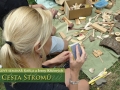Cesta stromů