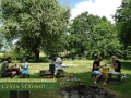 Cesta stromů