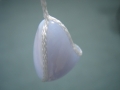 Yu chalcedon