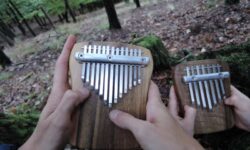 kalimba duo Harmonie Zvuku